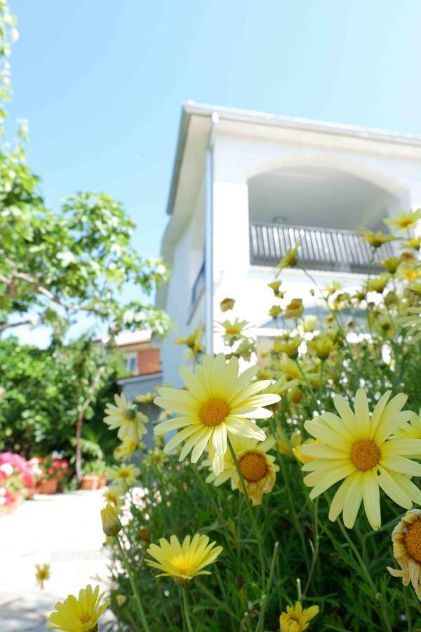 Apartment Ponos Krk Town Bagian luar foto